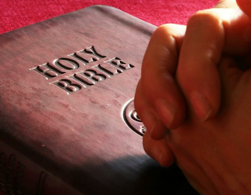 belief bible book business
